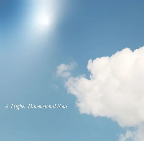 A Higher Dimensional Soul